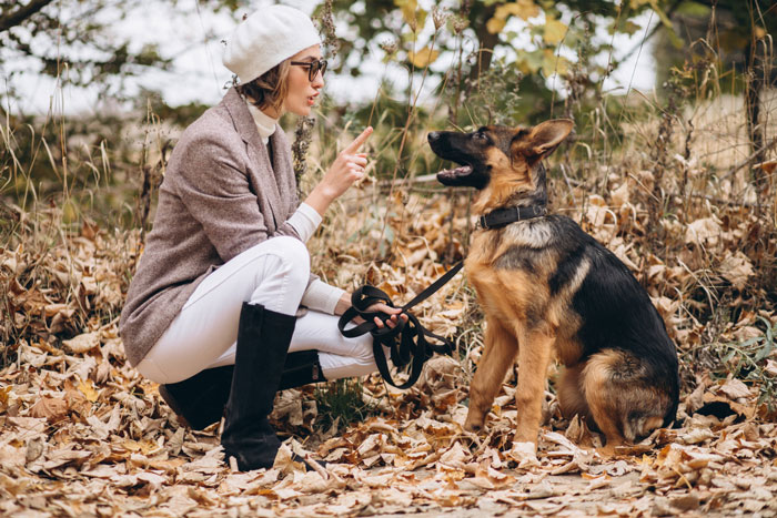 Woman squatting in autumn leaves, holding leash while training a German Shepherd dog outdoors in a park setting Woman squatting in autumn leaves, holding leash while training a German Shepherd dog outdoors in a park setting