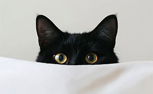 44 Calming And Beautiful Images By Greek Visual Artist Aikaterini Theocharidou