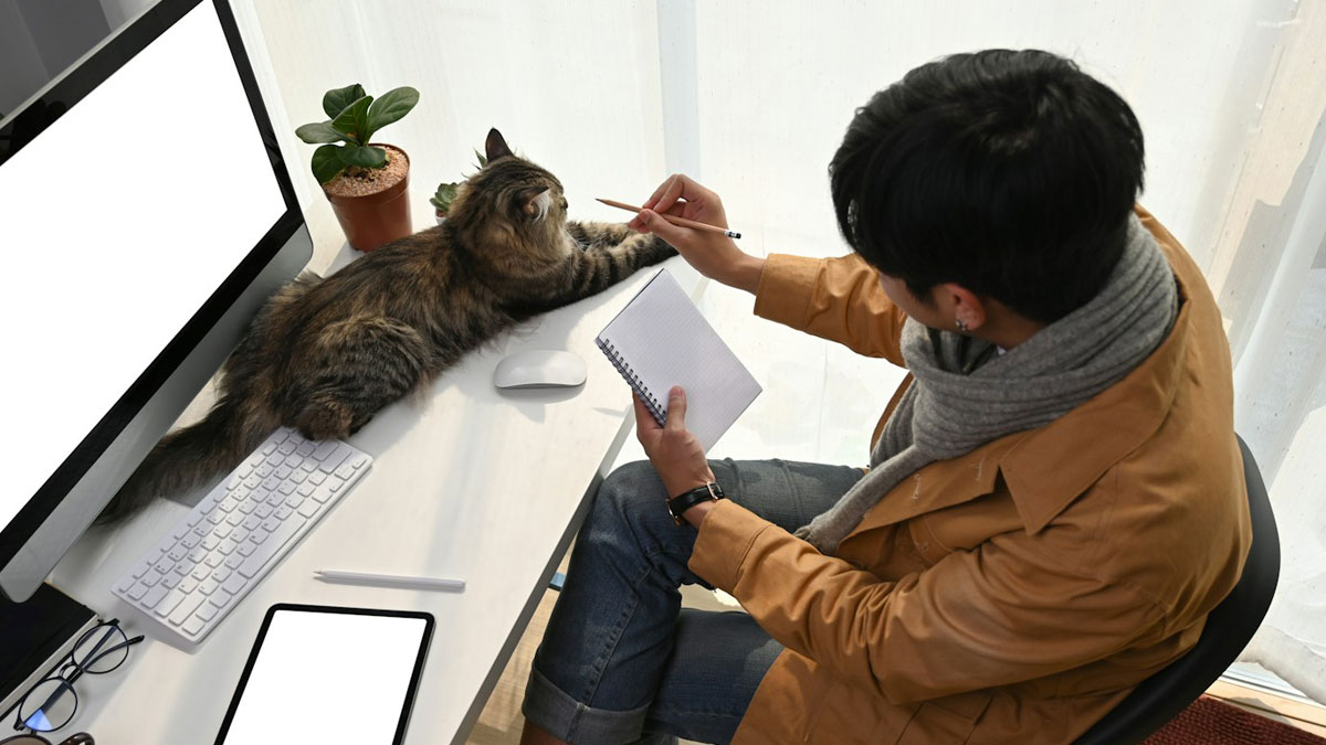 Person working from home with a cat nearby, showing a moment of distraction related to people getting fired for dumb mistakes.
