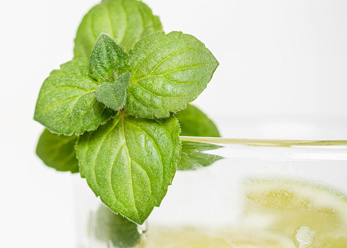 It’s Hard To Believe These 42 People Are Truly This Dumb