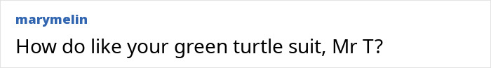 Screenshot of a social media comment asking about a green turtle suit, referencing Charlie Kirk suspect Tyler Robinson in court discussion. Screenshot of a social media comment asking about a green turtle suit, referencing Charlie Kirk suspect Tyler Robinson in court discussion.