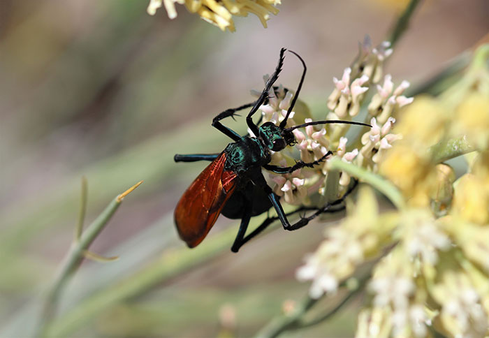 43 Facts So Weird You Might Think They’re Made Up (But They’re Not)