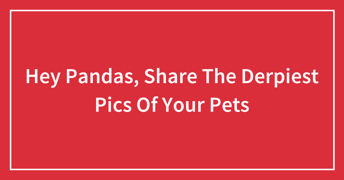 Hey Pandas, Share The Derpiest Pics Of Your Pets