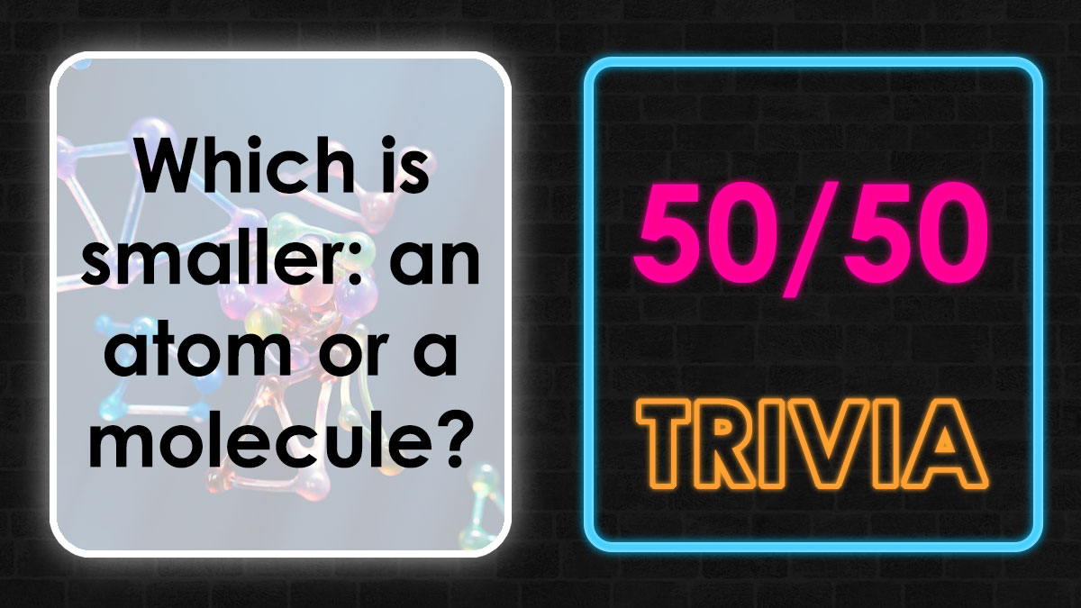 Trivia question about which is smaller an atom or a molecule, with 50-50 trivia neon text on dark background.