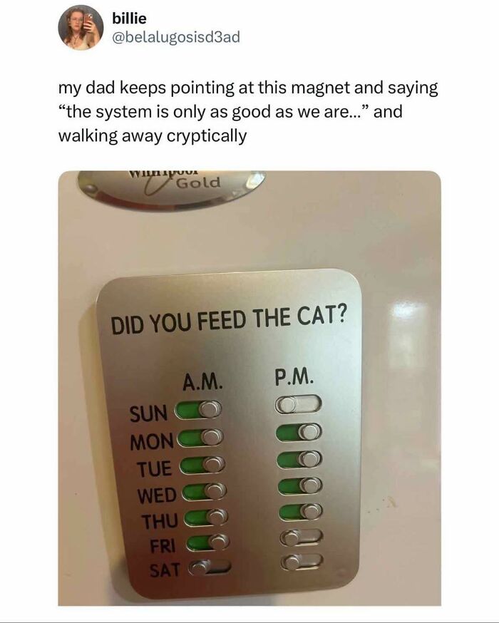 Funny British joke tweet showing a magnet chart to track if the cat was fed each day, perfect for British humor memes.