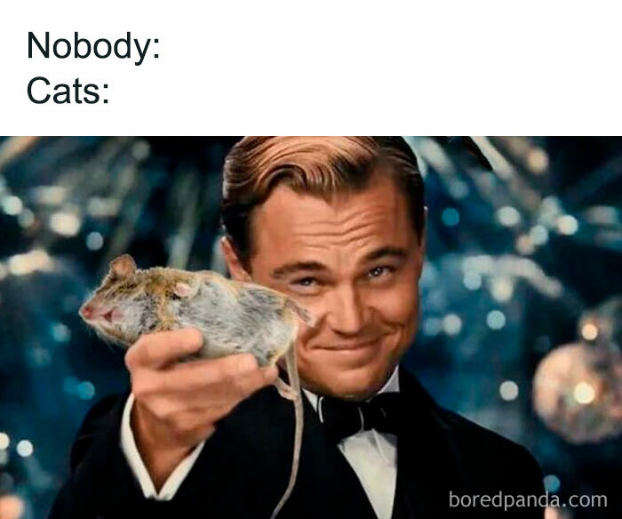 Image of a man in a tuxedo holding a mouse with text about cats, illustrating a funny cat meme concept.