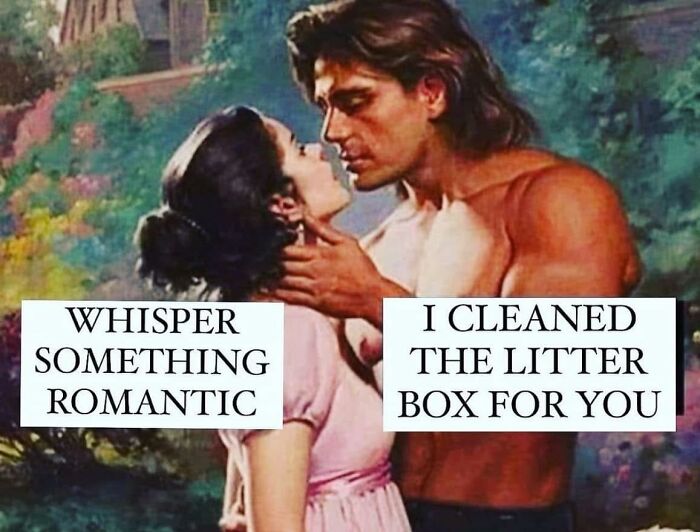 Romantic couple meme humor with text about cleaning the litter box, a cute cat meme highlighting love for cats.