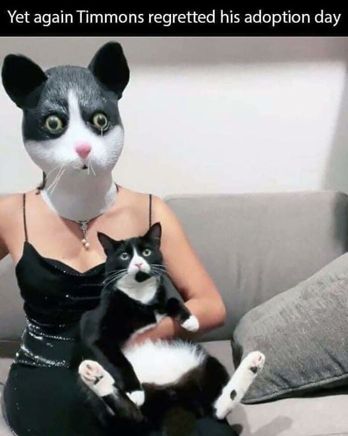 Person wearing a cat mask holding a black and white cat, both with wide eyes, highlighting cute cat memes humor.