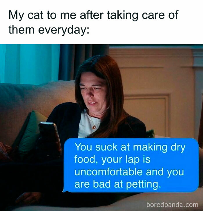 Woman looking at phone with humorous text message from cat complaining about dry food and petting, cute cat memes theme.