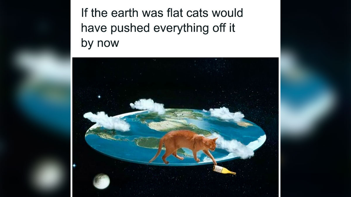 Flat earth meme with a cat pushing a bottle off the edge, showcasing cute cat memes with humor and imagination.