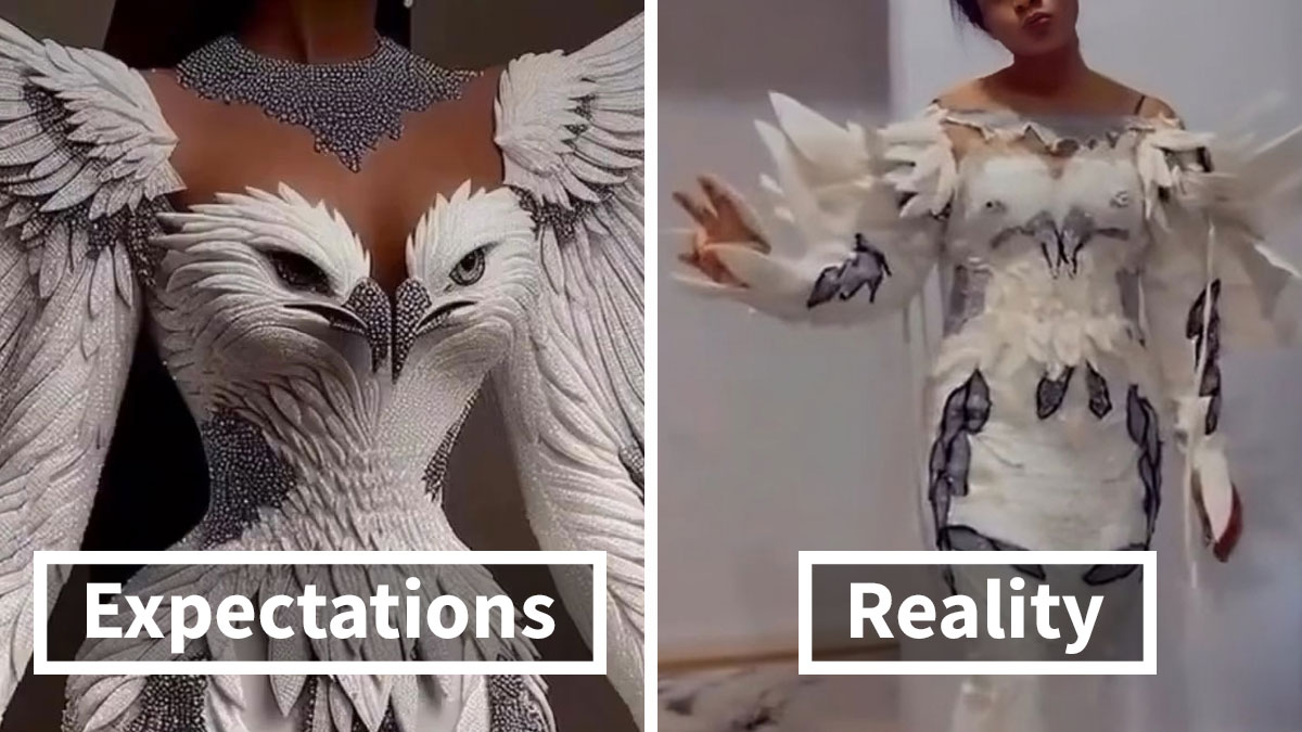 Side-by-side comparison of a bird-themed dress expectation versus hilarious fail reality in a what I ordered vs what I got scenario.