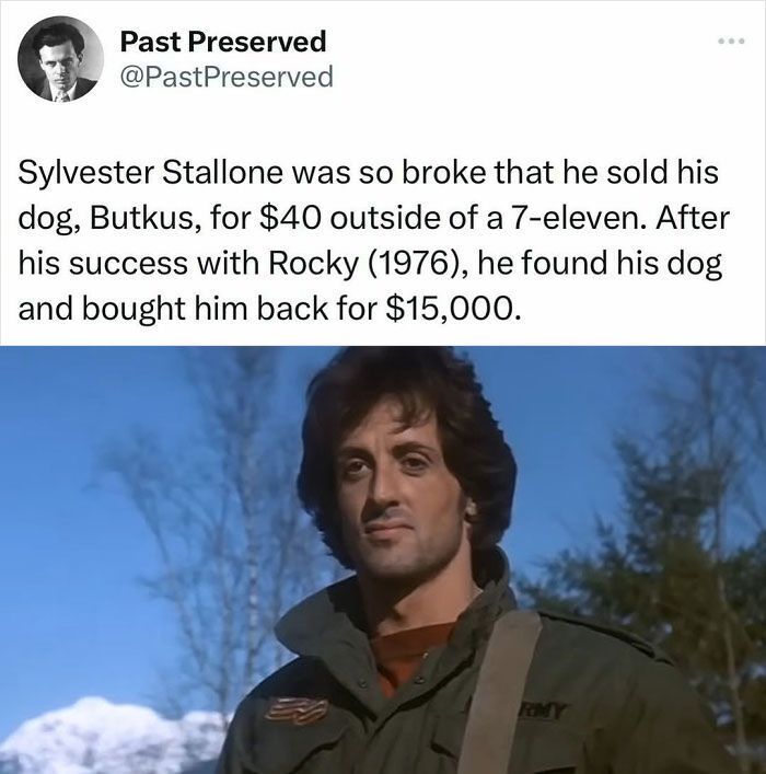 Funny meme post about Sylvester Stallone's dog sale and buyback, part of super culture entertaining content to fight boredom.