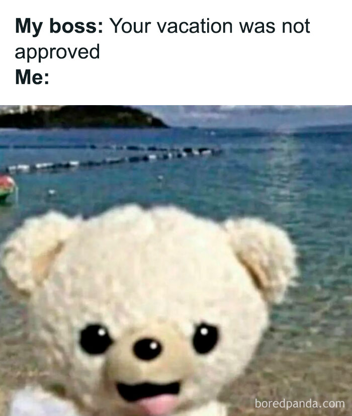 Funny meme with a plush bear by the beach, capturing a humorous response to vacation denial in hilarious memes.