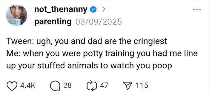 Parenting social media post humor about potty training with stuffed animals lined up, reflecting family life moments.