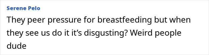 Screenshot of a social media comment criticizing the judgment of breastfeeding and pumping breast milk in public spaces. Screenshot of a social media comment criticizing the judgment of breastfeeding and pumping breast milk in public spaces.