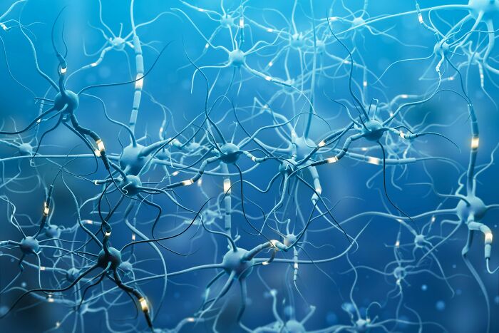 Neurons firing in a blue network, illustrating scientific concepts related to trusting your gut feeling and precognition. Neurons firing in a blue network, illustrating scientific concepts related to trusting your gut feeling and precognition.