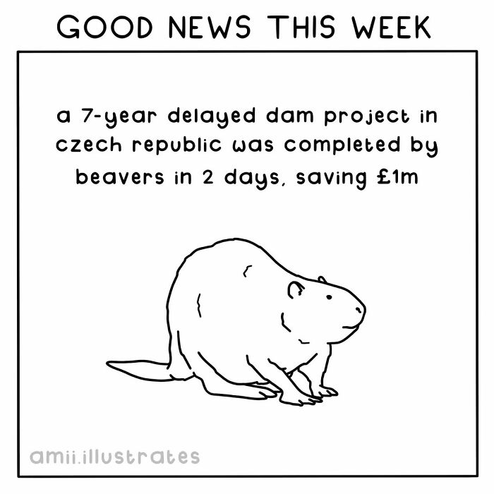 Hand-drawn illustration of a beaver with text about positive news on nature saving money in the Czech Republic.