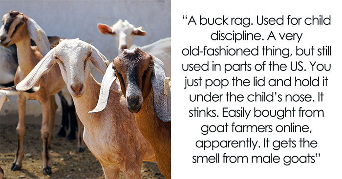 “Dude Was Weird”: 35 Instances Where Folks Found Something Bizarre And Gross At A Stranger’s Home