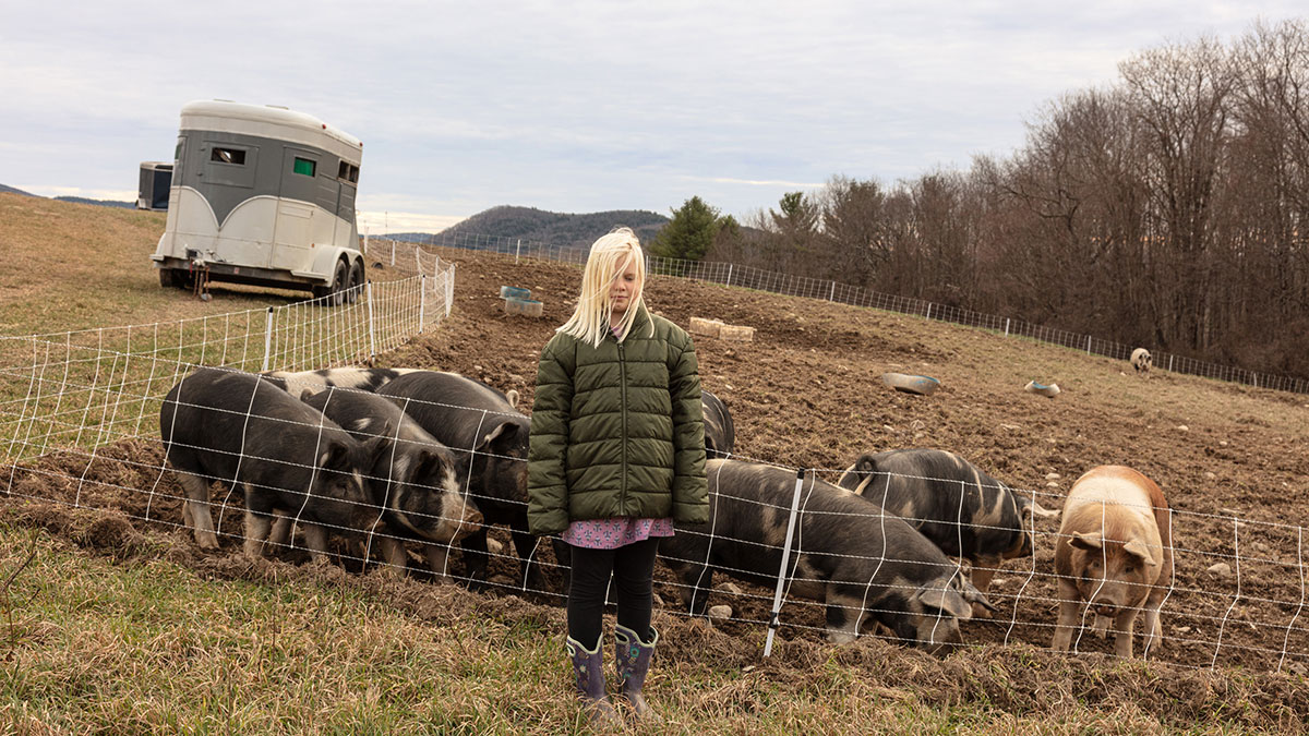 Young girl standing near a fence with pigs on a rural farm in Hudson Valley in Susan Anthonyu2019s intimate portraits.