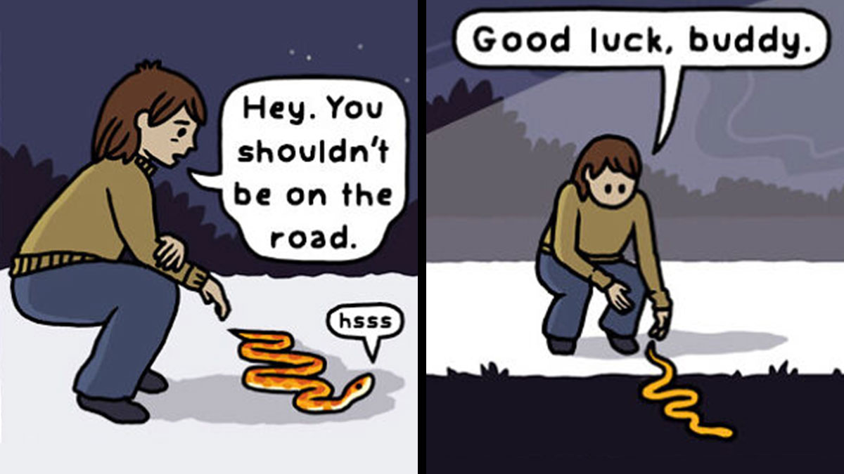 Person talking to a snake on the road in a playful comic showing the funny side of nature and wildlife.