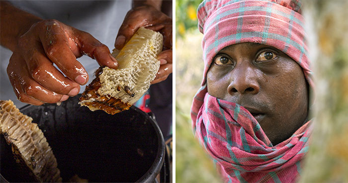 I Documented The Dangerous Work Of Honey Collectors In Bangladesh’s Mangrove Forests