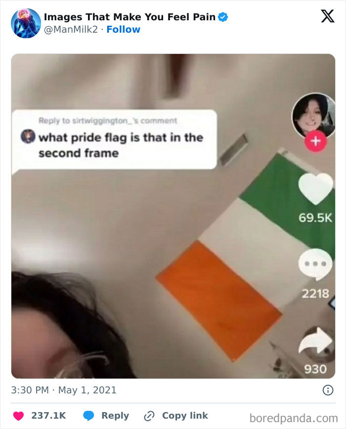 Screenshot of a TikTok post asking about a pride flag with an orange, white, and green striped flag in the background.