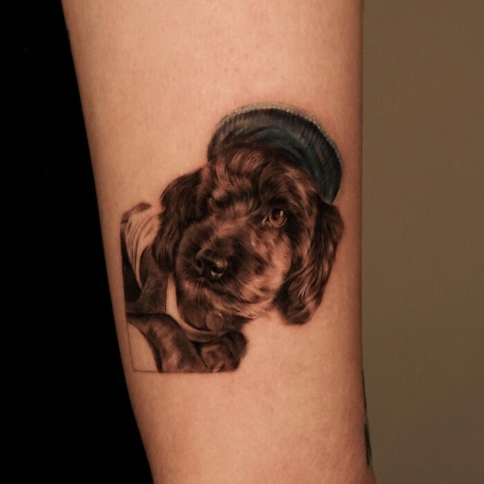 Realistic emotional pet tattoo of a dog wearing a hat by Korean tattoo artist on forearm.