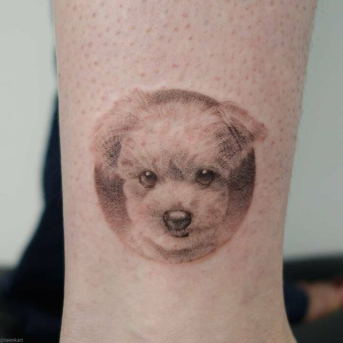 Realistic emotional pet tattoo of a dog's face on skin created by a Korean tattoo artist specializing in pet tattoos.