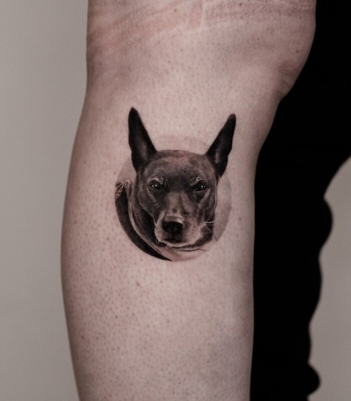 Realistic emotional pet tattoo of a dog's face on arm by Korean tattoo artist specializing in cats, dogs, and rabbits.