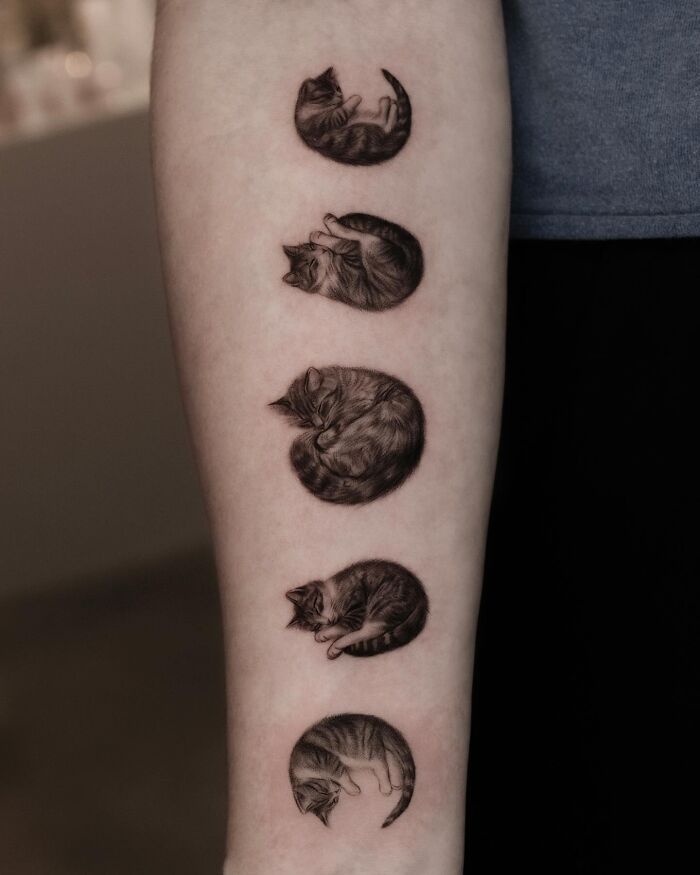 Detailed black and gray cat tattoos on forearm, showcasing emotional pet tattoos by a Korean tattoo artist.