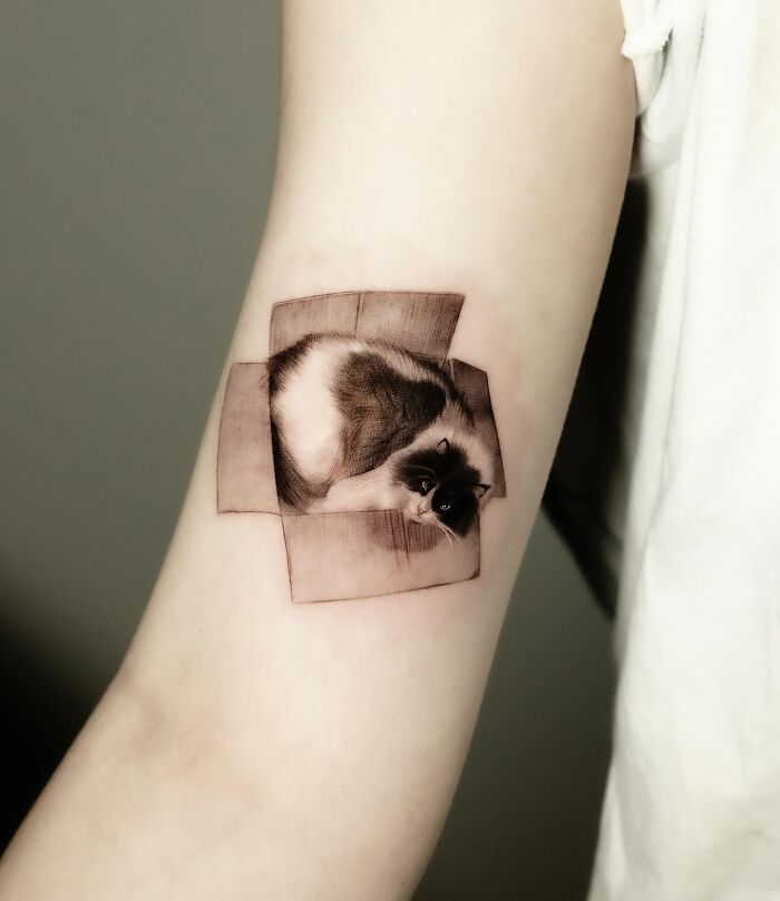 Tattoo of a cat curled inside a box on a person's arm, showcasing emotional pet tattoos by a Korean artist.