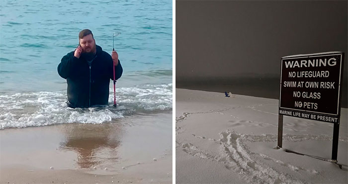 50 Times People Went To The Beach And Found Something They Least Expected (New Pics)