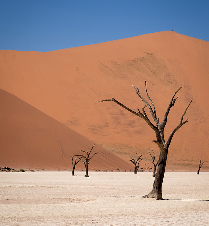 46 ‘Today I Learned’ Facts That May Come In Clutch When Conversation Runs Dry (New Facts)