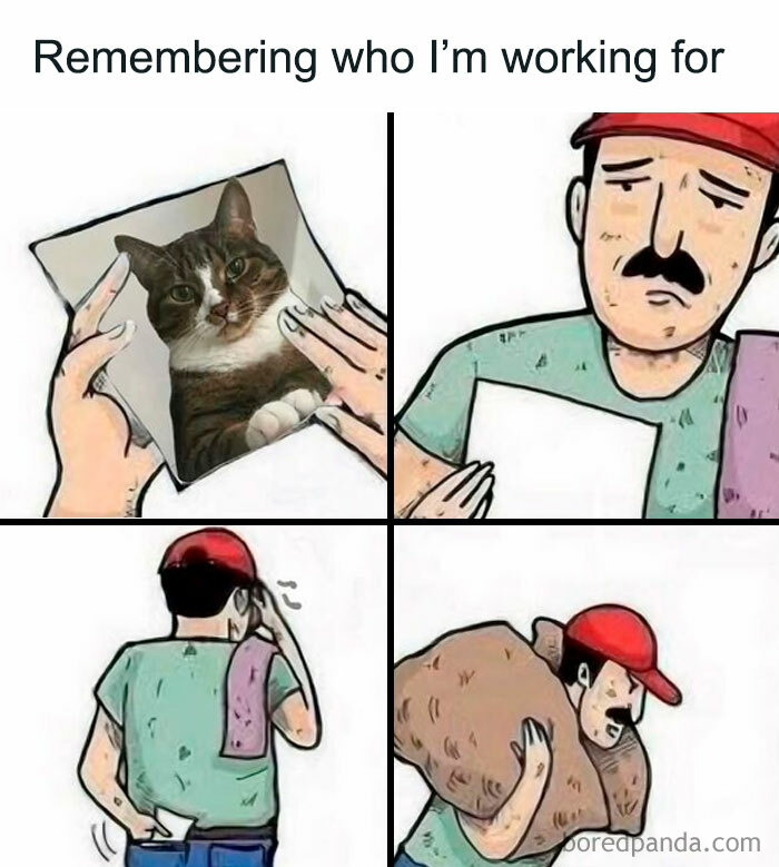 Comic strip showing a man remembering who he works for with an image of a cat, fitting introvert memes to decompress theme.
