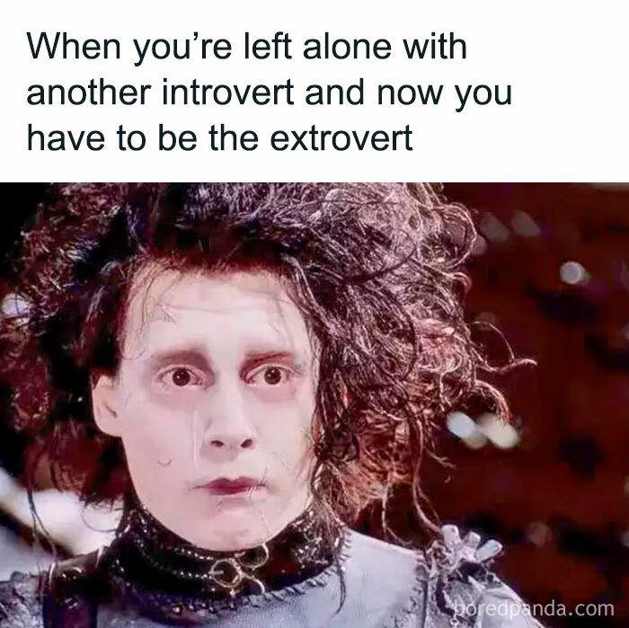 Person with wild hair and a worried expression illustrating introvert memes about socializing and being the extrovert.