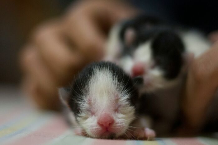 “Ten Minutes Into His Shift”: 40 Of The Fastest Dismissals People Have Ever Witnessed