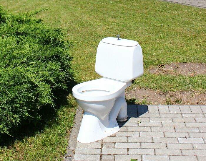 White toilet installed outdoors on paved ground next to grass and bushes, illustrating shocking school incidents keyword.