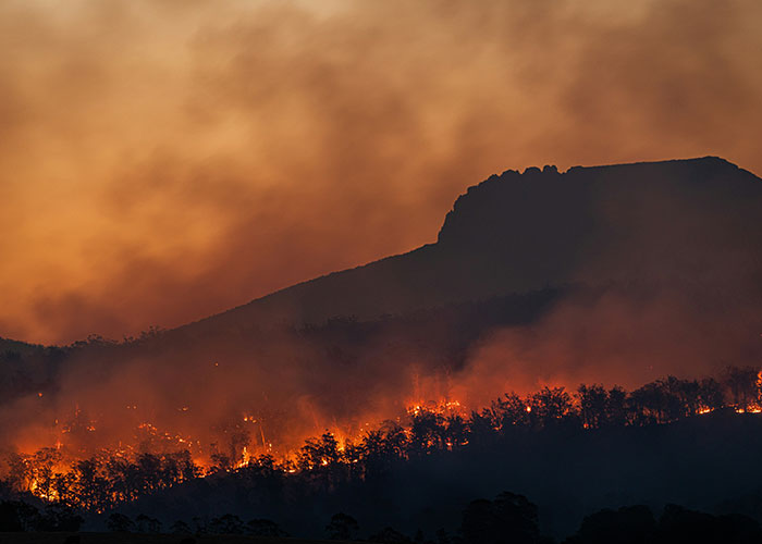 46 Eerie And Interesting Facts, As Shared By These Science-Savvy People Online