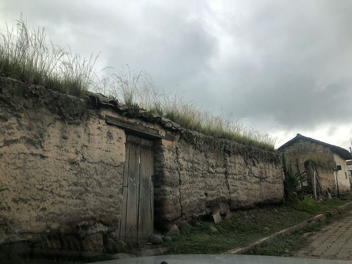 Old underground structure with wooden door built into earth, featuring grass roof under a cloudy sky, related to exploring beneath our feet.