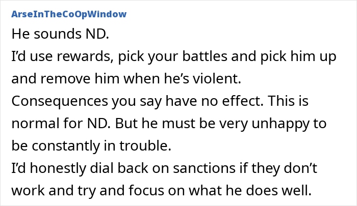 Screenshot of online advice forum discussing strategies for managing a 4-year-old out of control after joining nursery. Screenshot of online advice forum discussing strategies for managing a 4-year-old out of control after joining nursery.