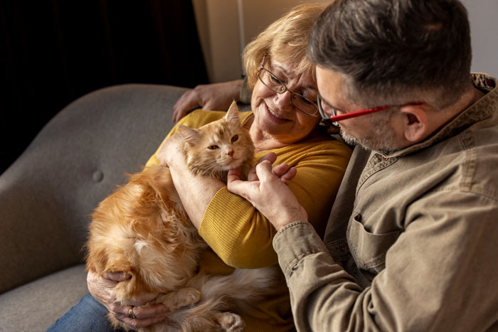 Elderly woman and man sitting on couch, enjoying time together with a fluffy cat as part of a mom retirement plan. Elderly woman and man sitting on couch, enjoying time together with a fluffy cat as part of a mom retirement plan.