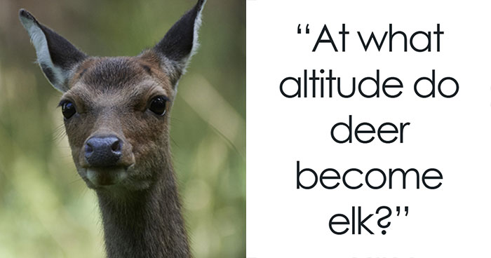 44 People Who Should Learn To Stay Silent Instead Of Saying Dumb And Out Of Touch Things