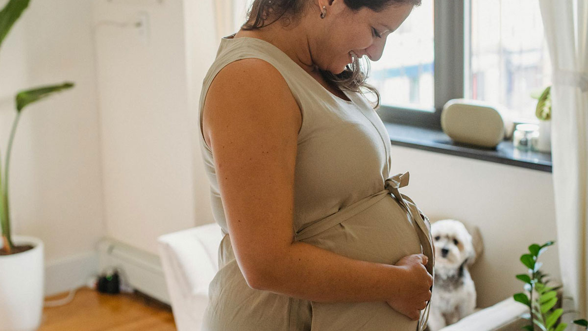 Pregnant woman smiling and holding baby bump in a sunlit room with a small dog in the background.