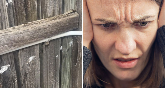Woman Finds Holes In Fence, Realizes Her New Neighbors Are Spying On Her