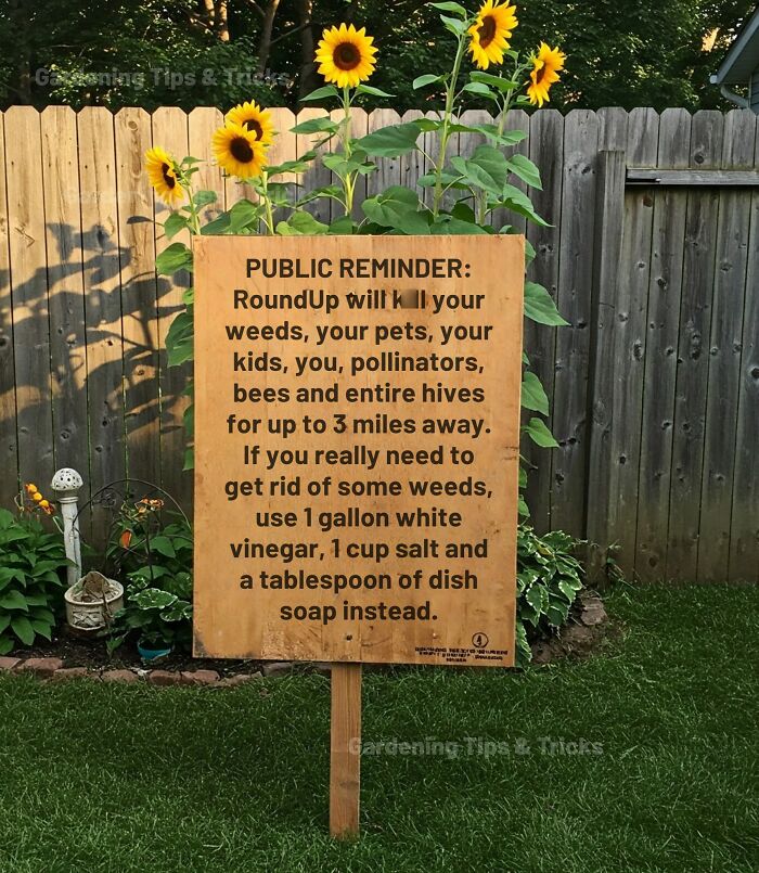 Wooden sign in a garden warning about RoundUp dangers to pollinators and offering an alternative weed control method.