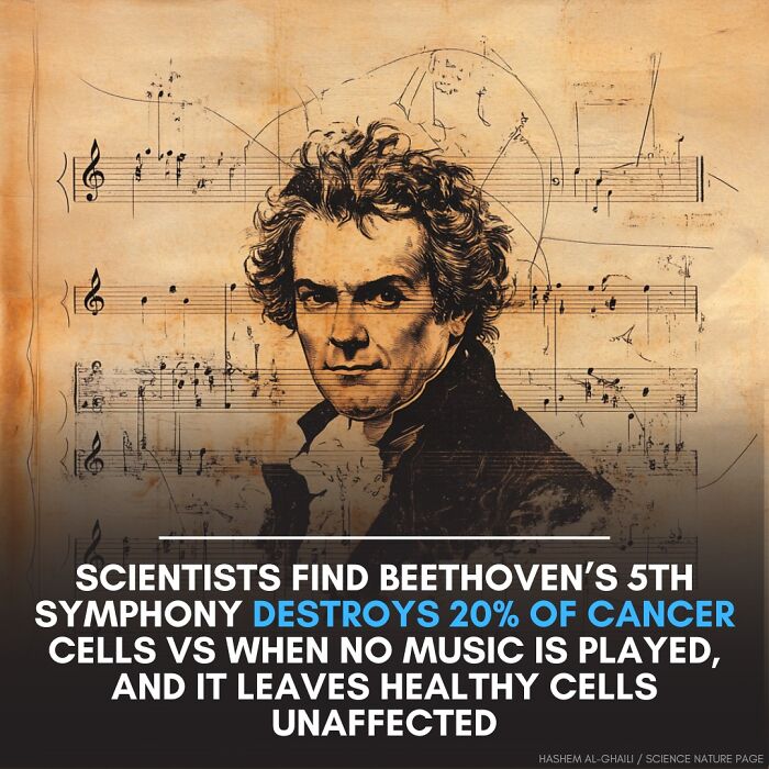 Scientist claim Beethoven’s 5th symphony destroys cancer cells while leaving healthy cells unaffected in modern society.