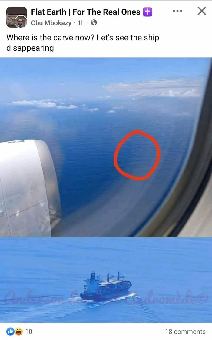 View from airplane window showing ocean and a circled spot, with a distant ship image illustrating absurd scientific takes.