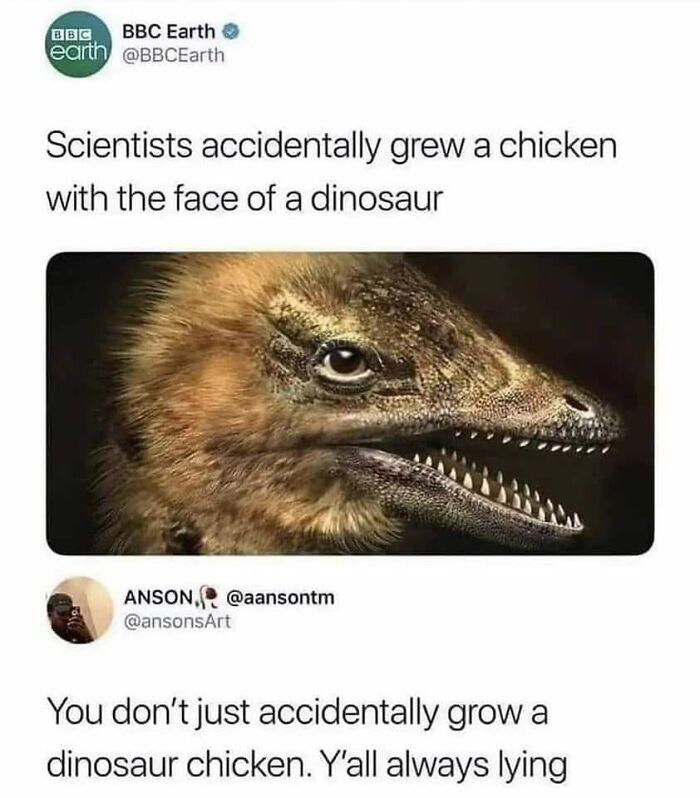 Scientists accidentally created a chicken with a dinosaur face illustrating absurd scientific takes in modern society.