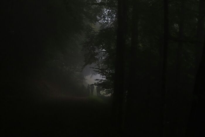 Dark woods with eerie fog and shadowy figures, creating a perfect setting for creepy stories by a campfire. Dark woods with eerie fog and shadowy figures, creating a perfect setting for creepy stories by a campfire.