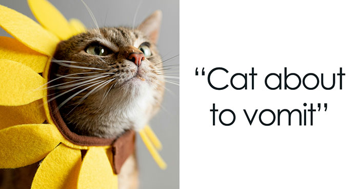 32 Little Sounds That Make People Livid For No Logical Reason